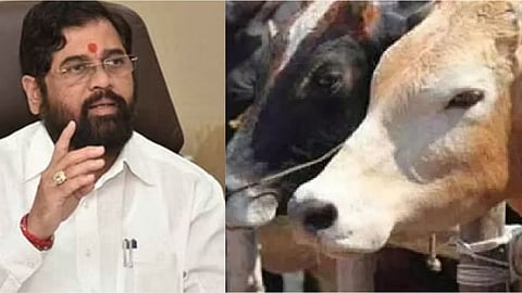 Eknath Shinde News