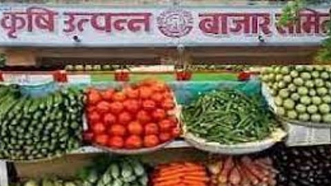risod krushi utpanna bazar samiti will remain closed till 31 march