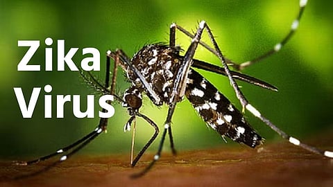 सावधान! पुण्यात झिका व्हायरसची एण्ट्री; वारीच्या तोंडावर नागरिकांचं टेंशन वाढलं
