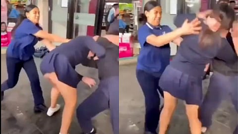 Girl Fight Viral Video