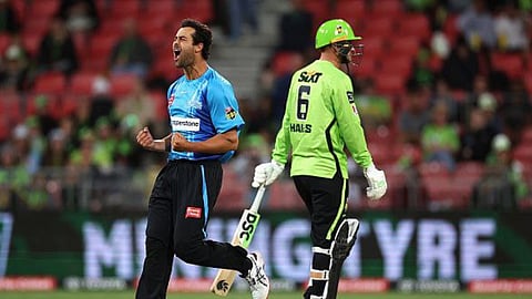 Cricket
