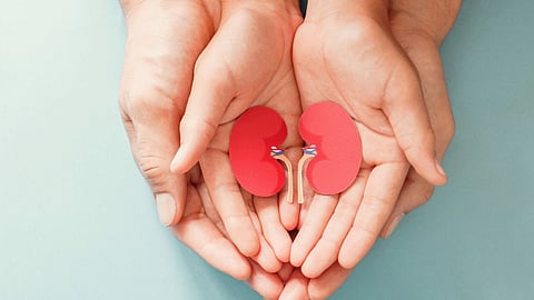 Kidney Transplant Health