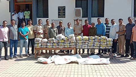Cannabis Seized In Dhule