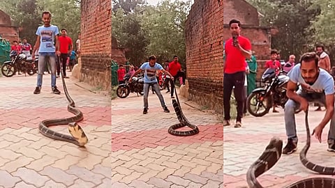 Viral Video