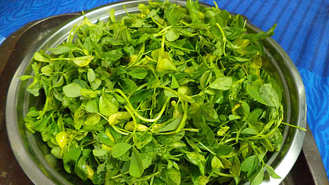 Methi Benefits