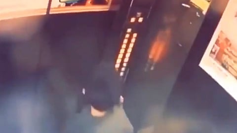 Viral Video