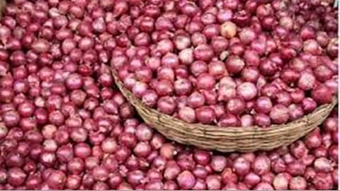 Onion Price
