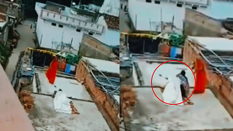 Couple Romance Viral Video