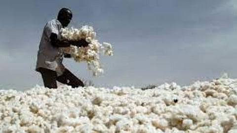 Cotton Price