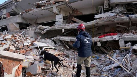 Turkey Earthquake News