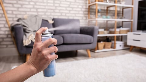 Homemade Room Freshener