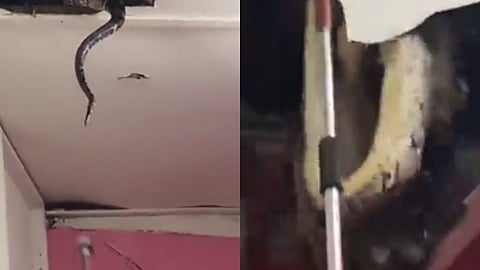 Viral Video
