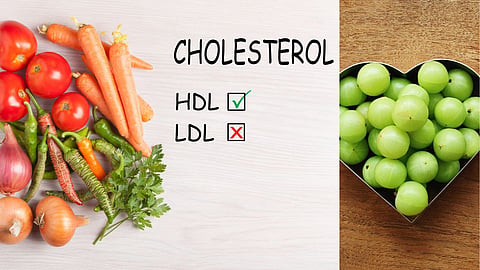 Cholesterol