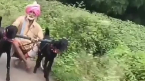 Viral Video