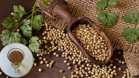 Coriander Water Benefits