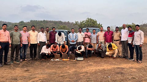 whale vomit, sindhudurg, local crime branch