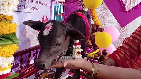 Akola News
