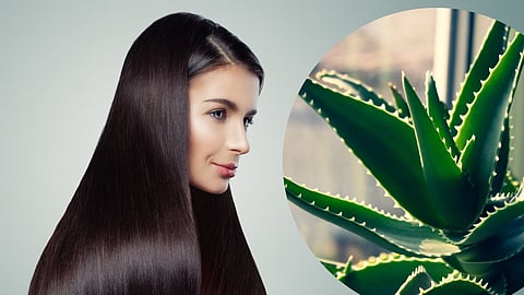 Aloe Vera Benefits For Hair