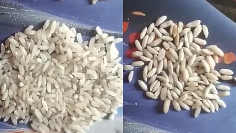 Plastic rice found in school nutrition