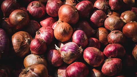 Nashik , Onion Price, Farmers, satana bazar samiti