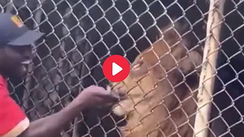 Viral Video