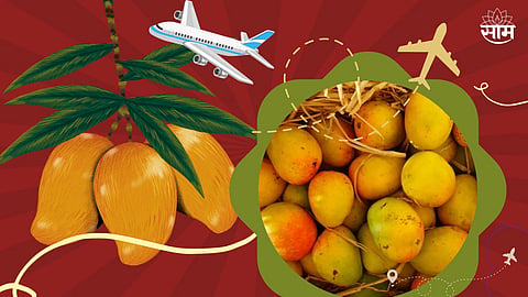 Indian Mango Destinations