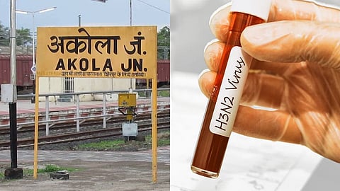 Akola H3N2 News