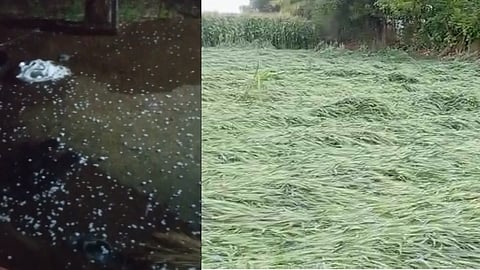 Rains