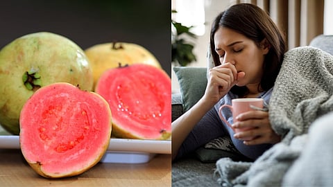 Guava Benefits