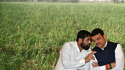 Crop Damage, Devendra Fadnavis and CM Eknath Shinde