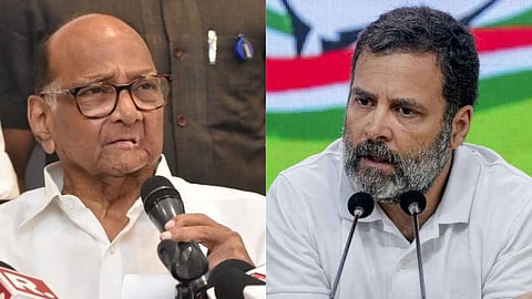 Sharad Pawar - Rahul Gandhi