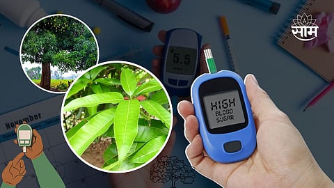 Diabetes Tips - Mango Leaves