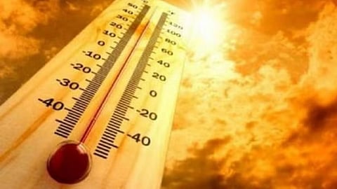 Heat Stroke In Maharashtra