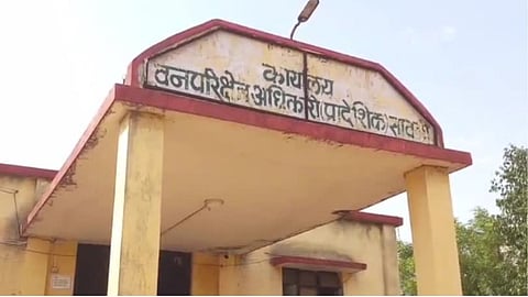 Chandrapur Tigar Attacked Women