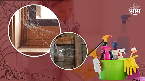 Tips to Clean Spider