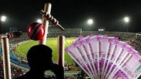 IPL Cricket Betting