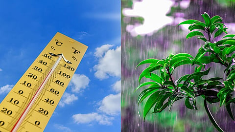 Maharashtra Weather Update