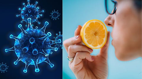 Coronavirus smell recognize