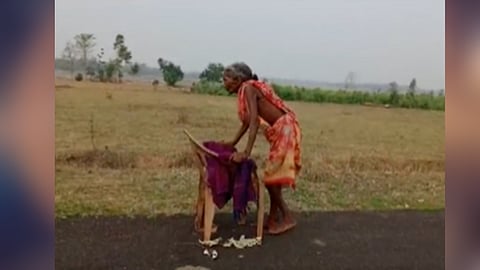 Viral Video
