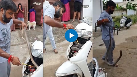 King Cobra Found In Scooty