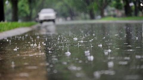 Rain Update