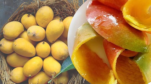 Mango Peel Benefits