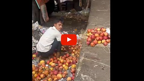 APMC Market Video