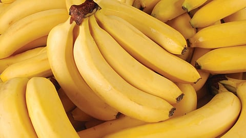 Nanded News, Banana