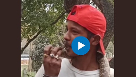Viral Video