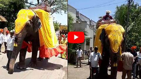 Kolhapur Video