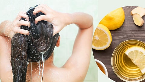 Natural Hair Conditioner
