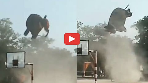 Elephant Flying in Sky Viral Video