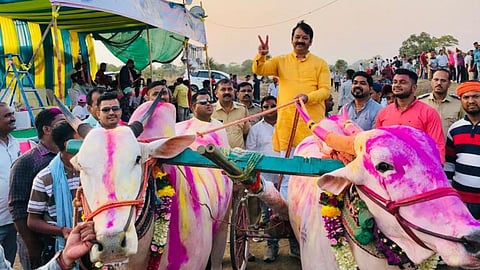 Ambarnath News