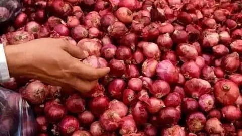 Onion Nandurbar News